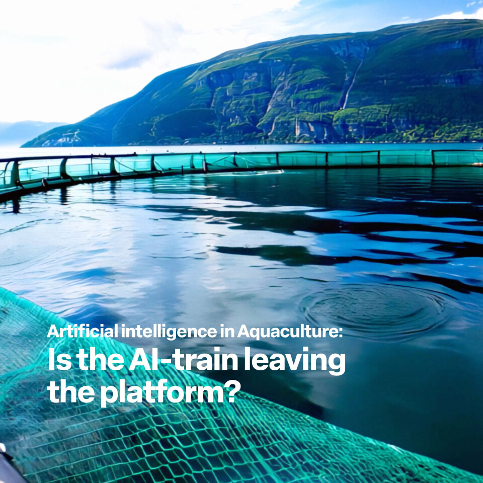 It's here: The conference on artificial intelligence in aquaculture