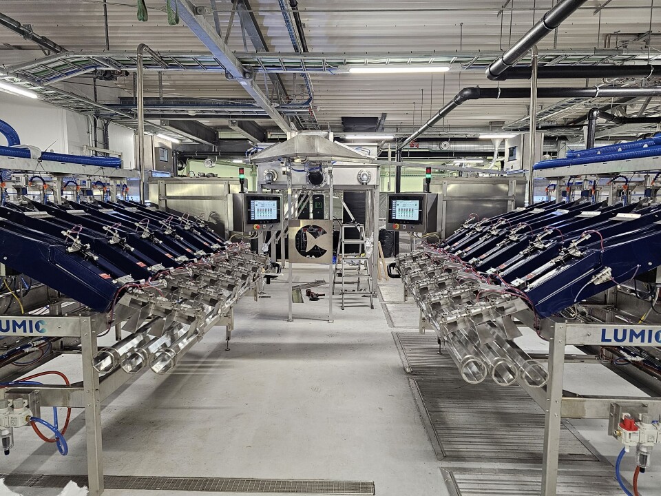 Lumic's automated machinery will be equipped with Greenfox Marine's ultrasound and camera systems to examine juvenile fish inside and out during vaccination and sorting.