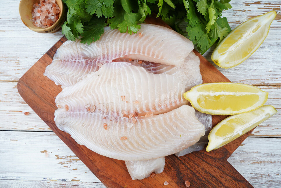 GenoMar Genetics will use CT scans to select broodfish with the best fillet yield.