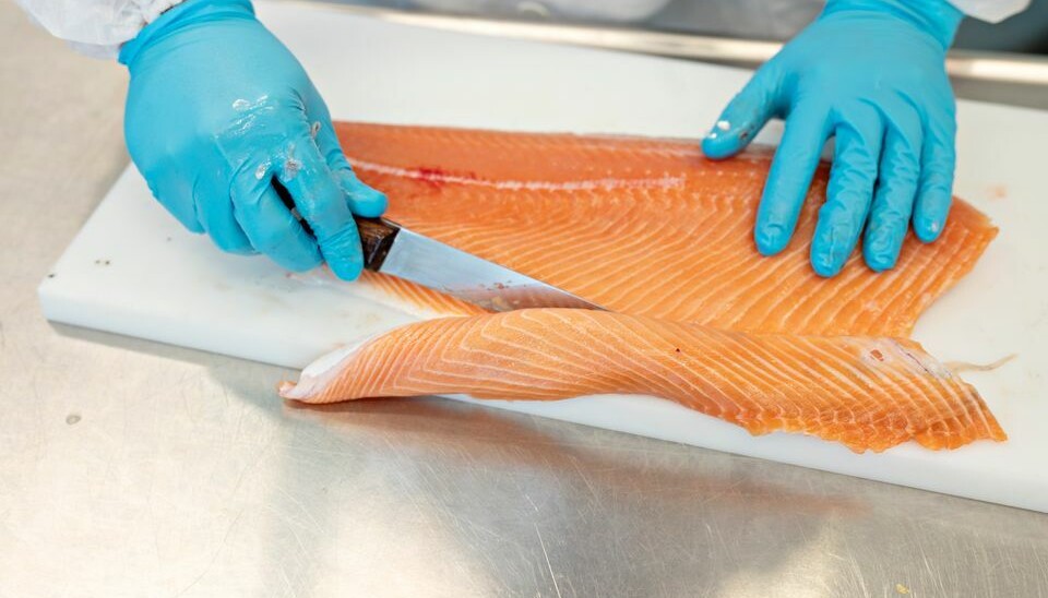 Stressed salmon become paler, research shows. But there is one exception.