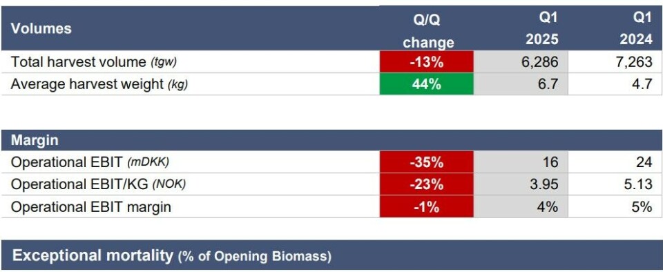 Lower salmon prices led to reduced profits for Bakkafrost Scotland's farming division in Q1 2025 but the average harvest weight reached a record of 6.7kg HOG.