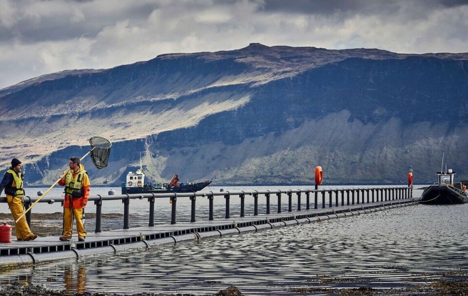 Bakkafrost farm technicians at a site in Scotland.