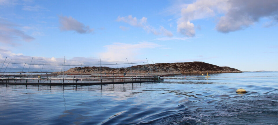 How Mowi plans to grow by 100 000 tonnes in five years How Mowi plans to grow by 100 000 tonnes in five years