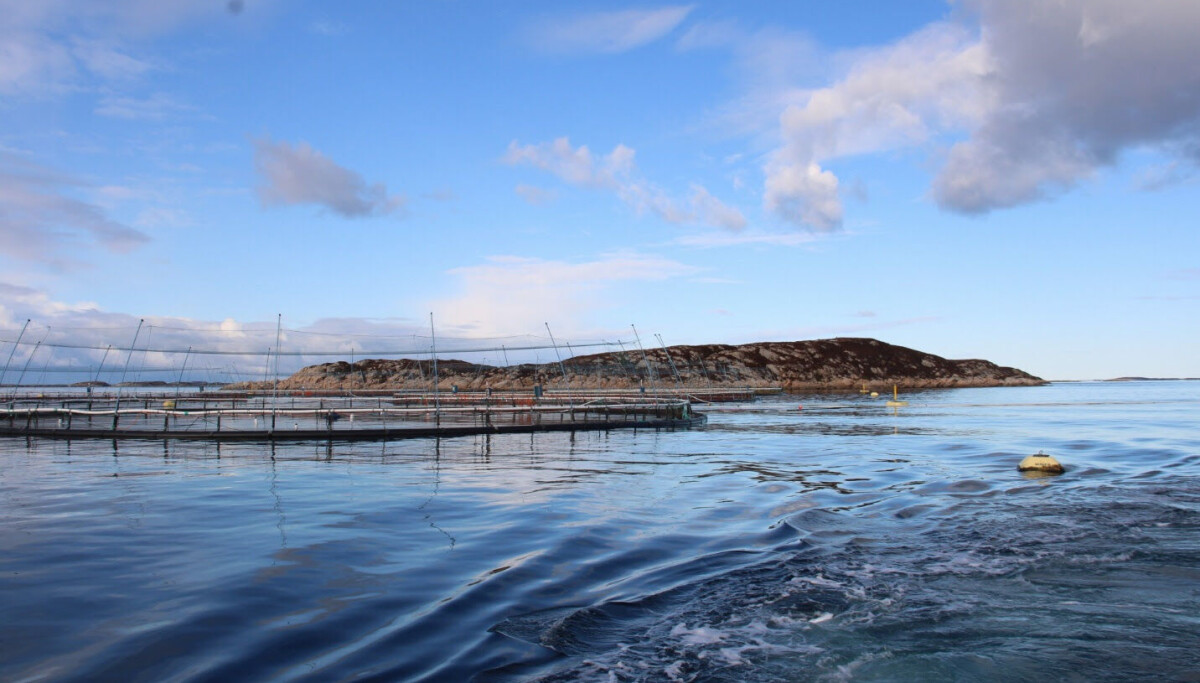 Cod Farm Griffith ASC offers cod farmers a fast track to certification