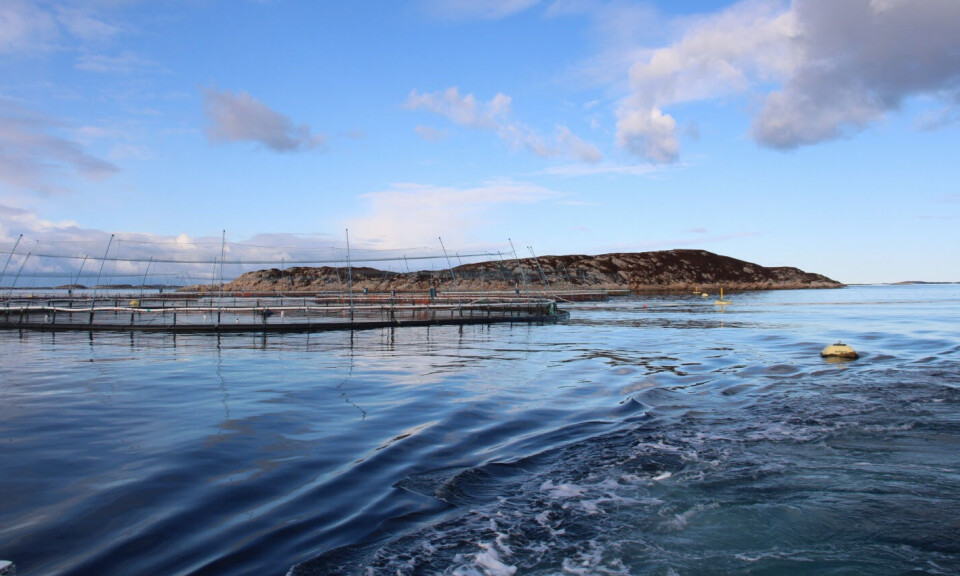 Atlantic cod farm at Jamnungen sea site (Frøya, Norway) operated by Norcod.