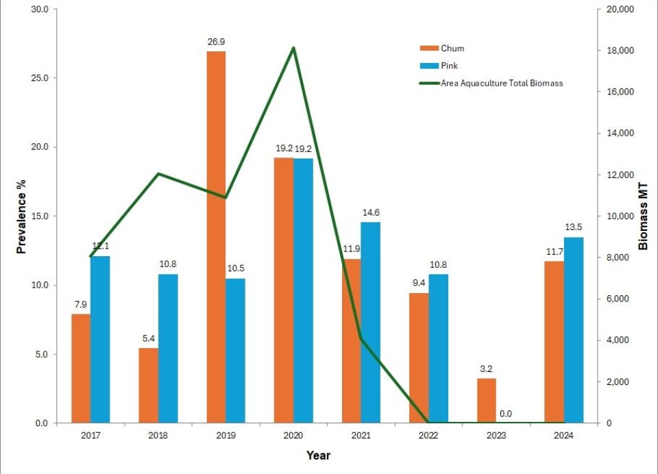 Figure 1. Prevalence of sea lice (percentage of fish with sea lice) on wild juvenile chum and pink salmon compared to total aquaculture biomass from 2017 to 2024 in the Discovery Islands region.