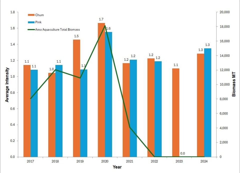 Figure 2. Average intensity of sea lice (number of lice per infested fish) on wild juvenile chum and pink salmon compared to total aquaculture biomass from 2017 to 2024 in the Discovery Islands region.