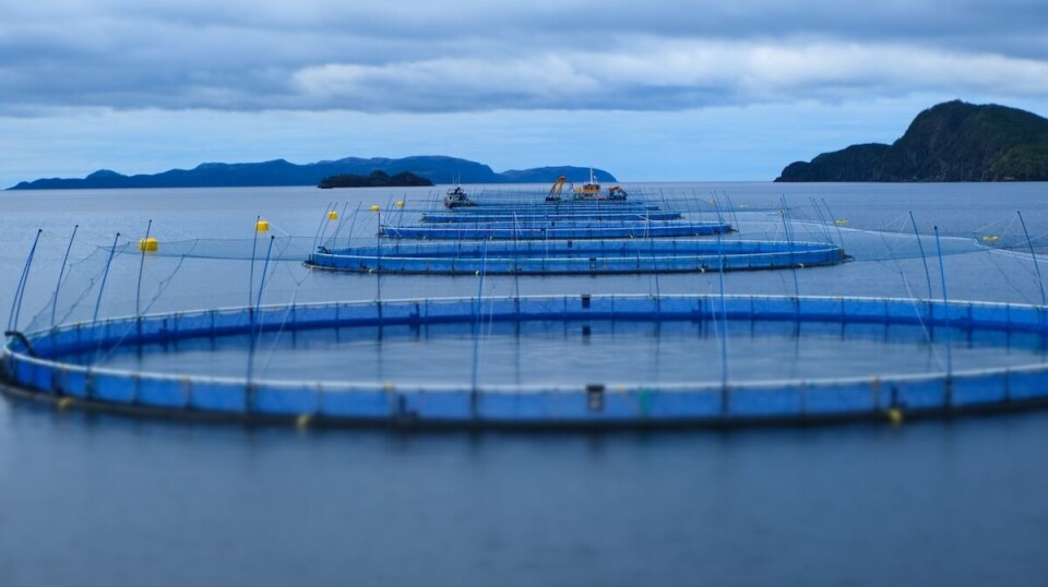 The equipment will be tested at six of Grieg Seafood's locations in Placentia Bay, Newfoundland.