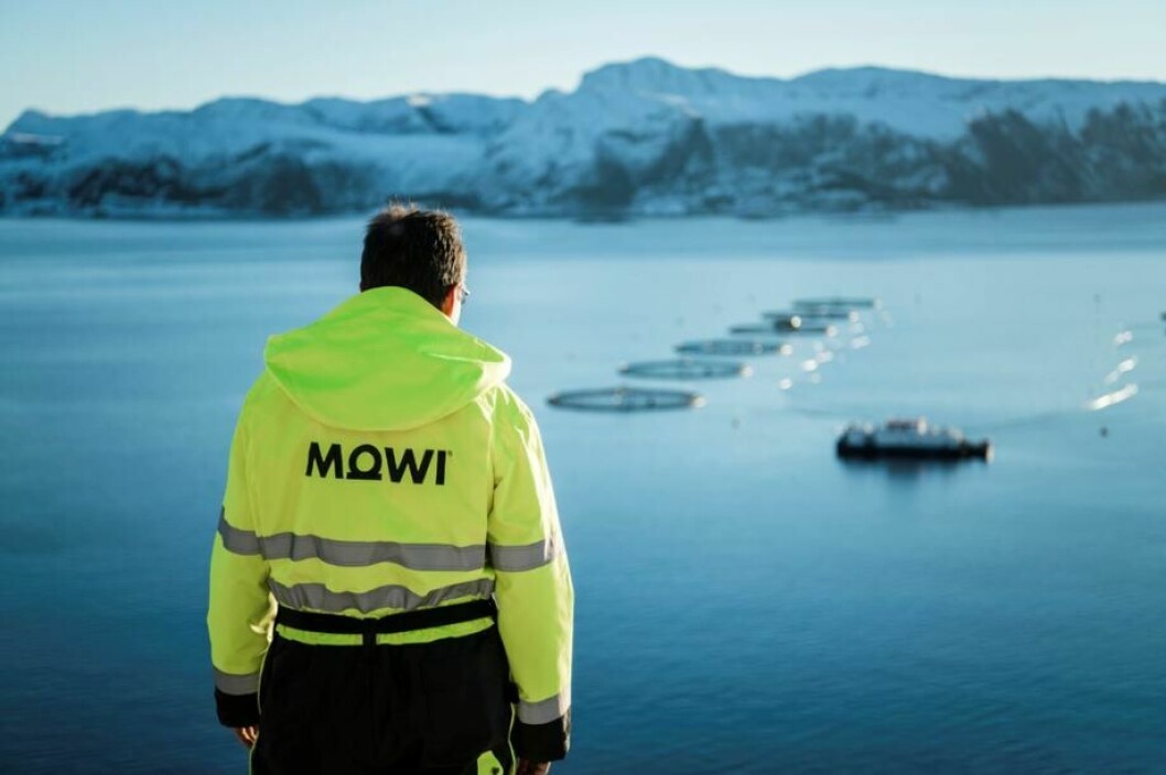 Mowi will lose 921 tonnes of capacity from 22 licences. File photo: Mowi.
