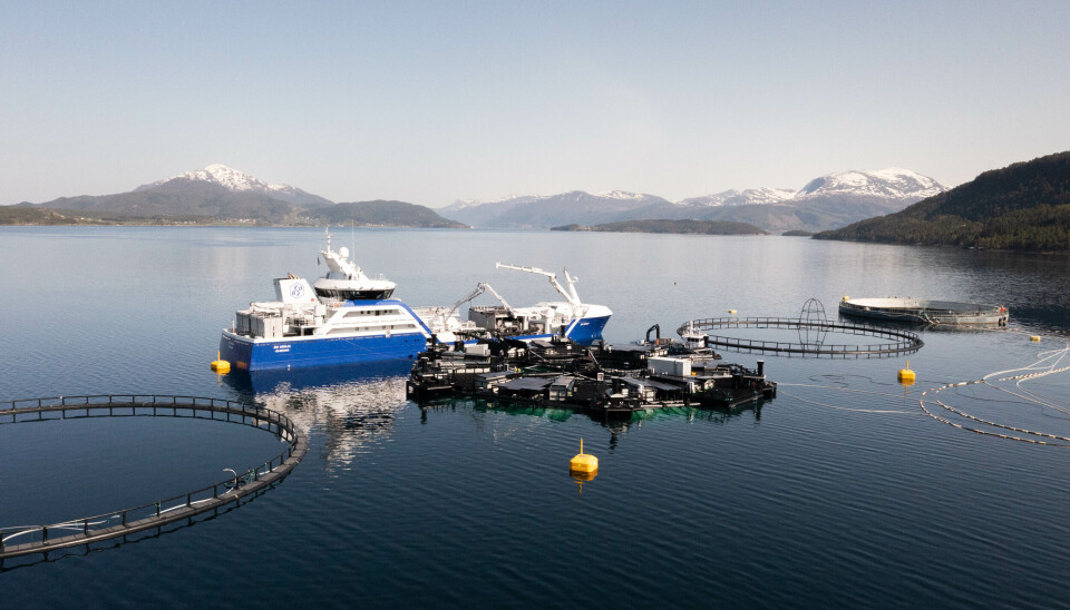 The Marine Donut, operated by SalMar, is now in its second production cycle, with the salmon reported to be thriving.