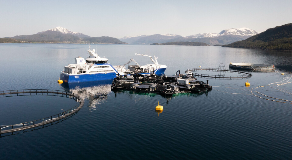 New version Marine Donut a hole lot better says Bluegreen