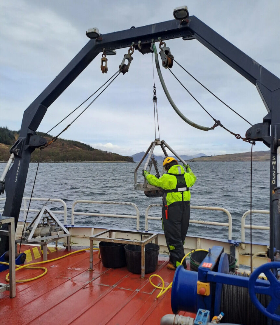 A seabed sample is brought aboard over the stern of the Benthic Surveyor.