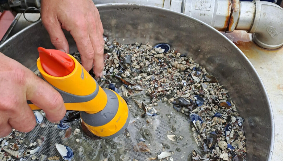 Sea Sampling Mowi leases vessel for full-time salmon farm seabed sampling