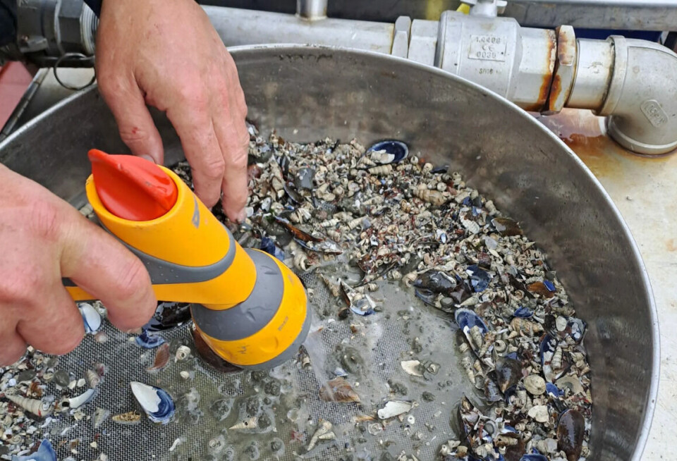 Seabed samples are rinsed on the Benthic Surveyor.