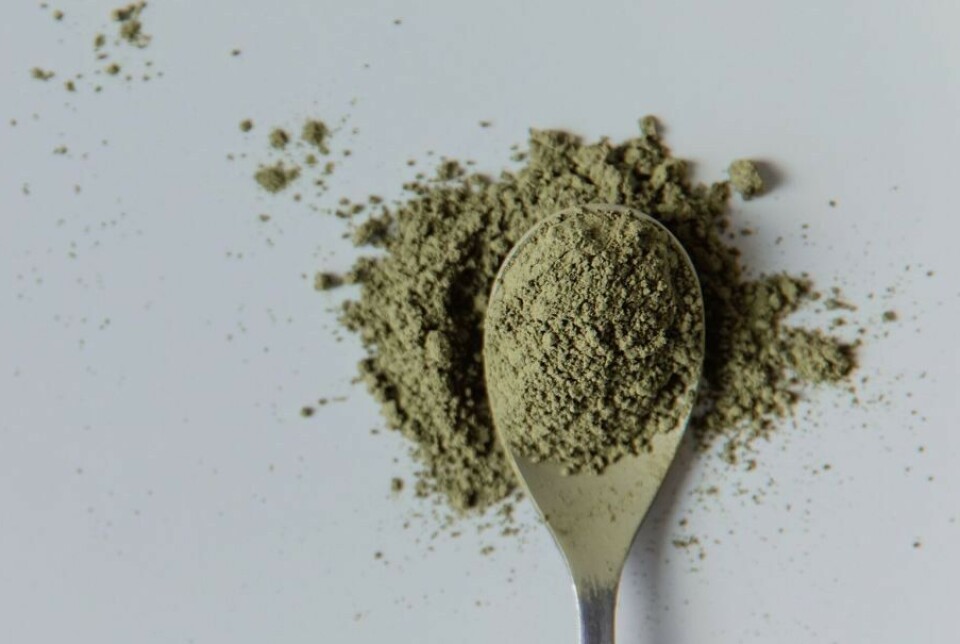 BioMara's seaweed-derived Seafibrex can be incorporated into breads, muffins, and plant-based meats without compromising on taste, texture, or manufacturing efficiency.