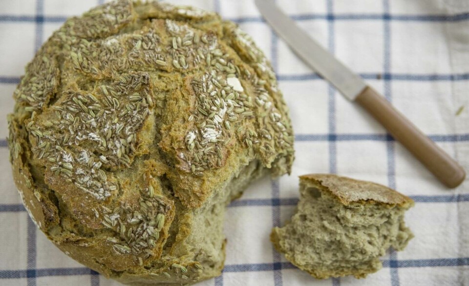 A muffin containing Seafibrex, an ingredient with the potential to improve the nation's health and strengthen demand for farmed seaweed. Inset, farmed Alaria esculenta (kelp).