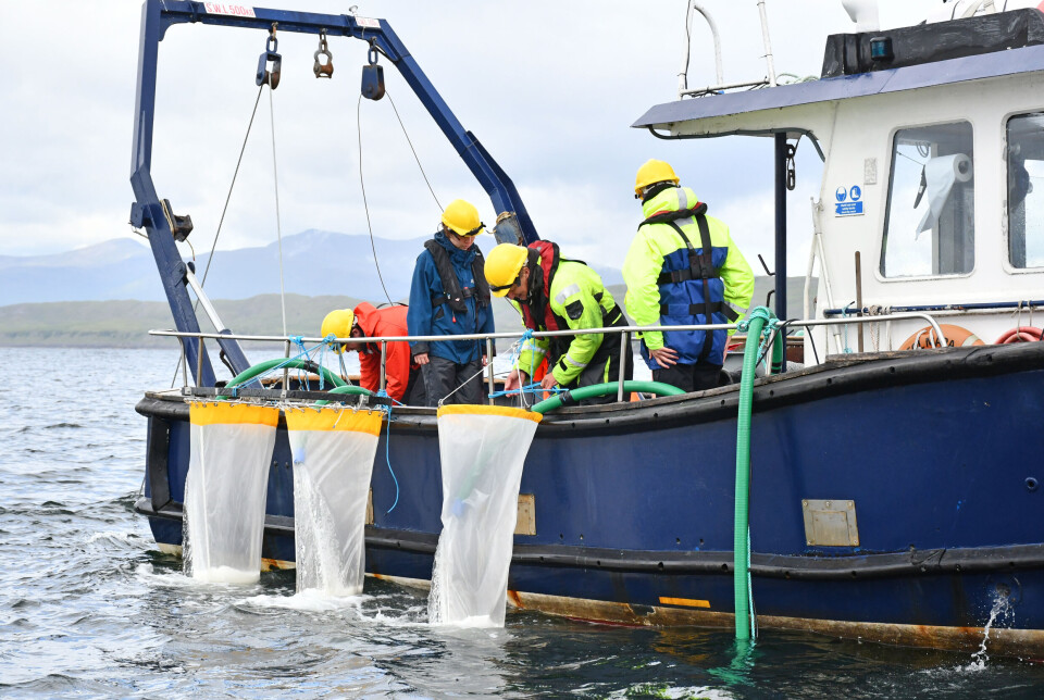 SAMS scientists conduct experiments on board the institute’s research vessel Seol Mara to attempt to measure the depths at which sea lice can be detected.