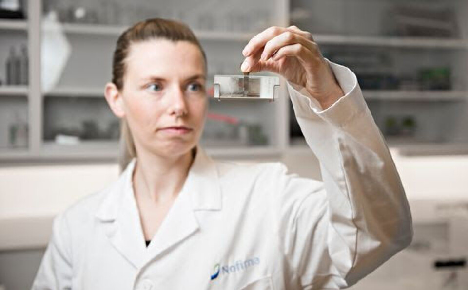 Lene Sveen at Nofima has studied what happens early in the contact between salmon and lice.