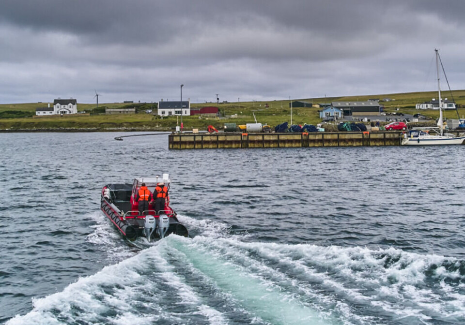 Cooke Scotland seawater sites off the east coast of the islands of Yell and Unst, and off the west coast of mainland Shetland, and is now hoping to expand into Sullum Voe, west of Yell.