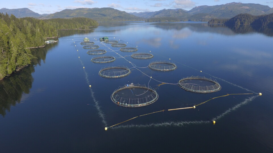 Low O2's TMS bubble curtain is being used 24 hours a day, seven days a week, at a salmon farm in BC, Canada.