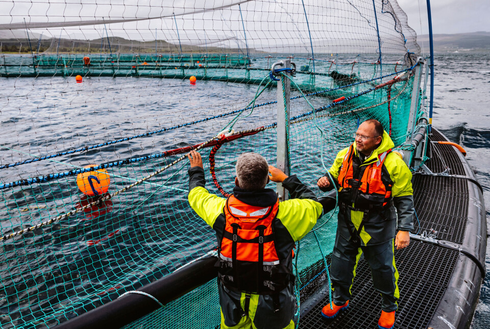 Higher side netting at Scallastle means seals can no longer reach vulnerable bird netting.