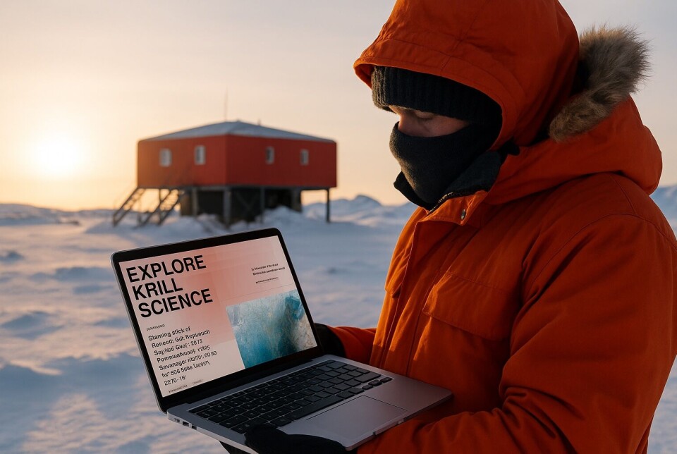 The Krill Science Hub brings together 20 years of research papers about Antarctic krill.
