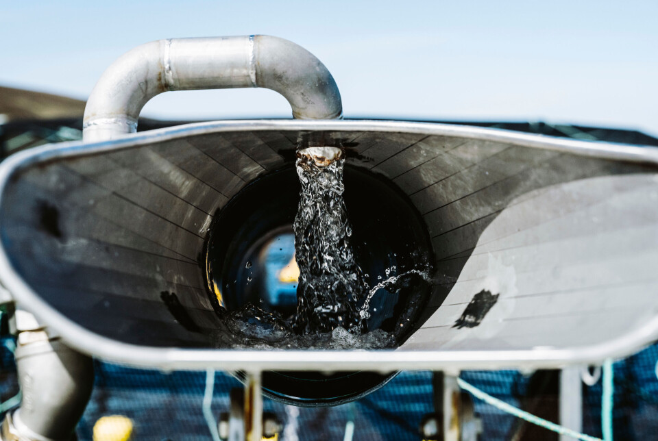 Water is fed into the pipe to make the fish's short journey to the pen easier.