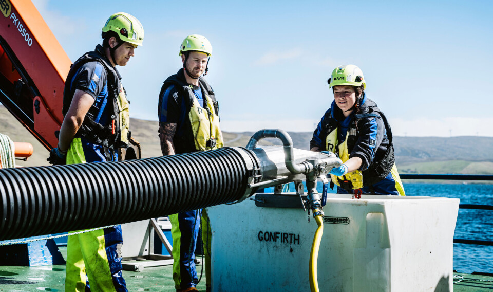 The only manual handling now involved in returning fish to the pen is to lift them from the water in the bin to the mouth of the pipe. The yellow hose on the right supplies a continuous flow of water down the pipe.
