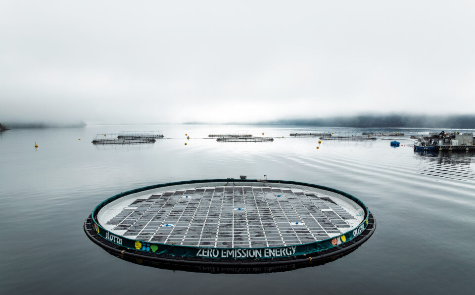 The first Alotta floating solar power plant at Emilsen Fisk. A second will be delivered later this year.