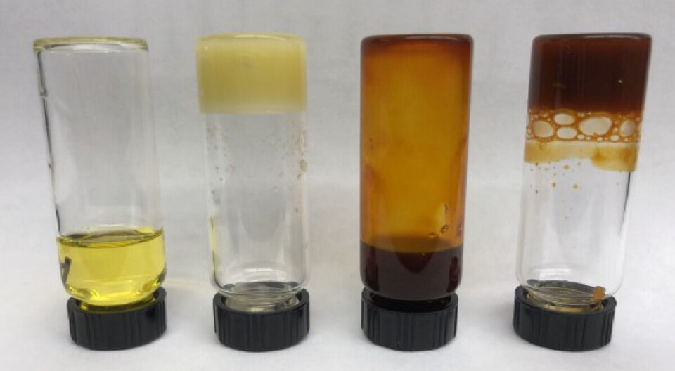 From left: camelina seed oil; camelina seed oleogel; camelina astaxanthin-rich oil; camelina astaxanthin-rich oleogel.
