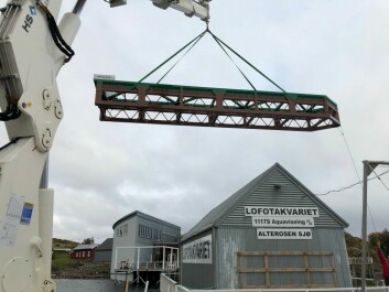 The model is lifted into position on the side of a pier. Click on image to enlarge. Photo: Nordlaks.