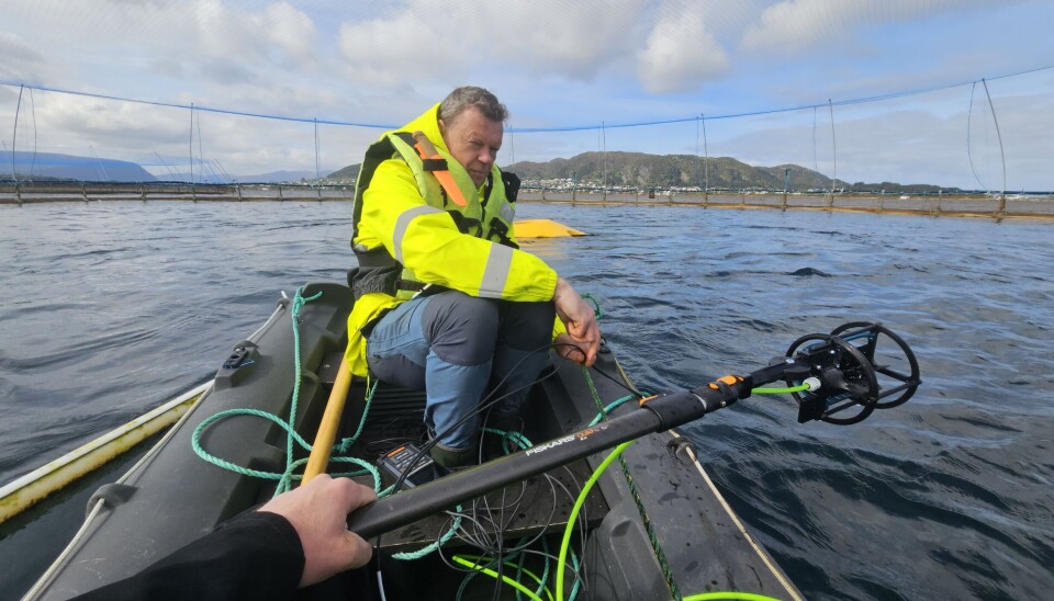 Measurements of environmental conditions and current velocity in cages.