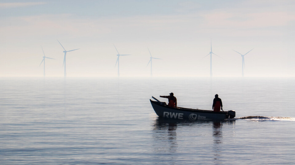 Offshore windfarm with RWE and The Oyster Restoration Company-branded boat in the foreground.