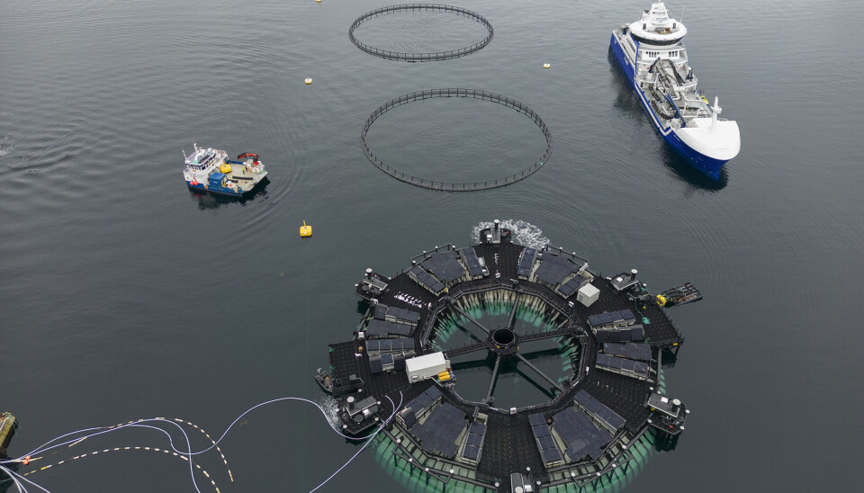 The first full-scale test of Marine Donut was conducted at the SalMar site with good results.