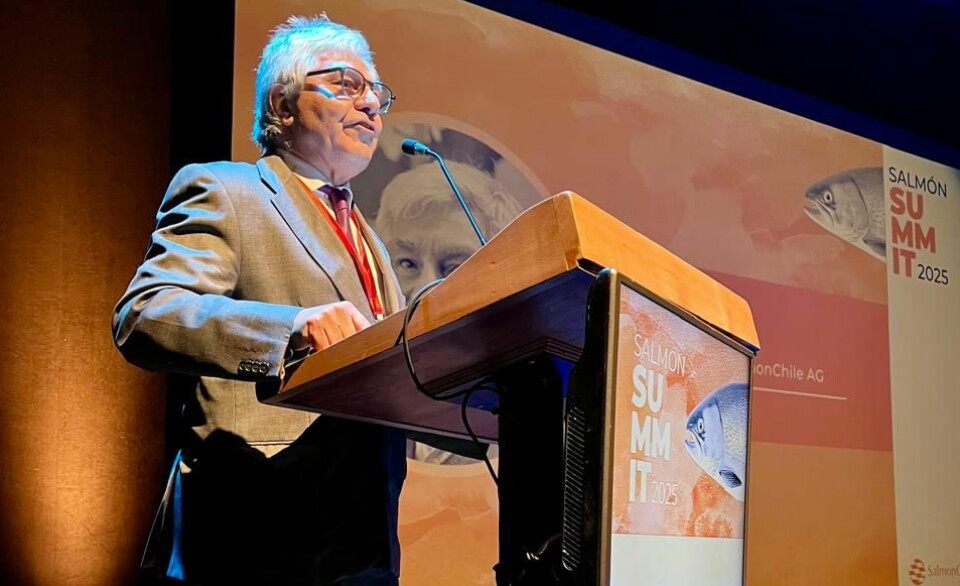 Arturo Clément was strongly critical of Santiago's approach to salmon farming. 'Chile is squandering its competitive advantage,' the SalmonChile boss said.