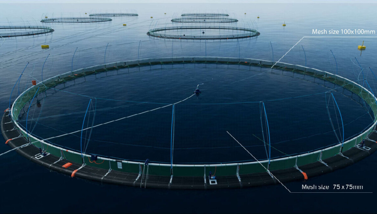 Wfn Fish Farm Few net gains from revised fish farm planning process