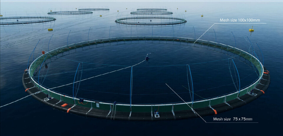 A net illustration included in the planning application for Scottish Sea Farms' Fish Holm site, which was part of the pre-application scheme pilot.