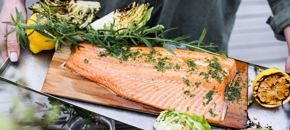 Norway sees surge in salmon exports to China but decline in US market