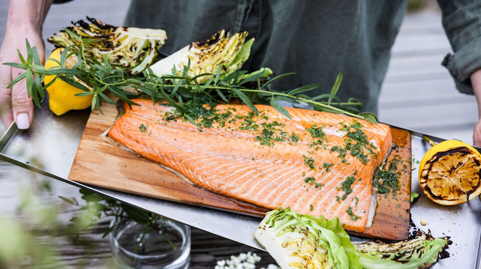High volumes of relatively low-priced salmon led to a record July for Norwegian seafood exports.
