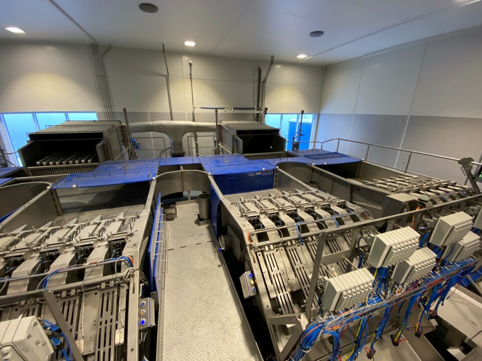 The 'stun and bleed' system in its entirety. This is a similar version of the system that will be delivered to Nova Sea.