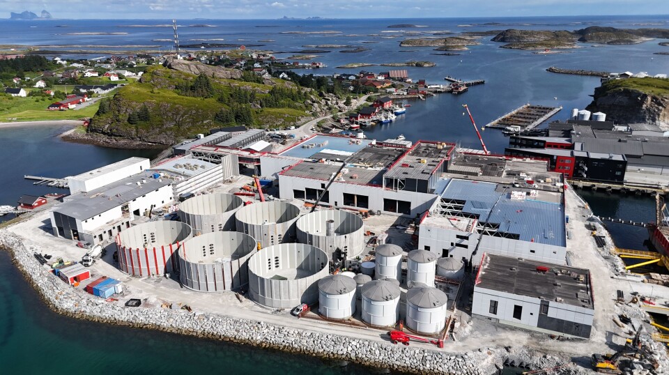 Nova Sea is well under way with the construction of its new salmon processing plant. When the facility is completed in 2026, it will double the company's production capacity – with an increased focus on fish welfare.