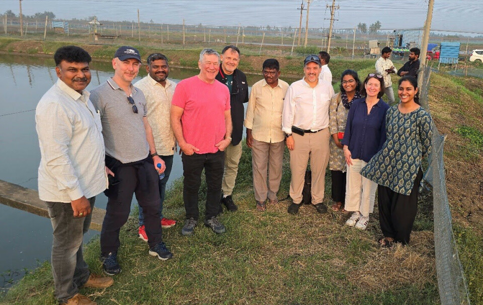 Representatives of the SFP and ASC at a shrimp farm in India. They include the SFP's Paul Bulcock, second from left, and ASC chief executive Chris Ninnes, fourth from left.