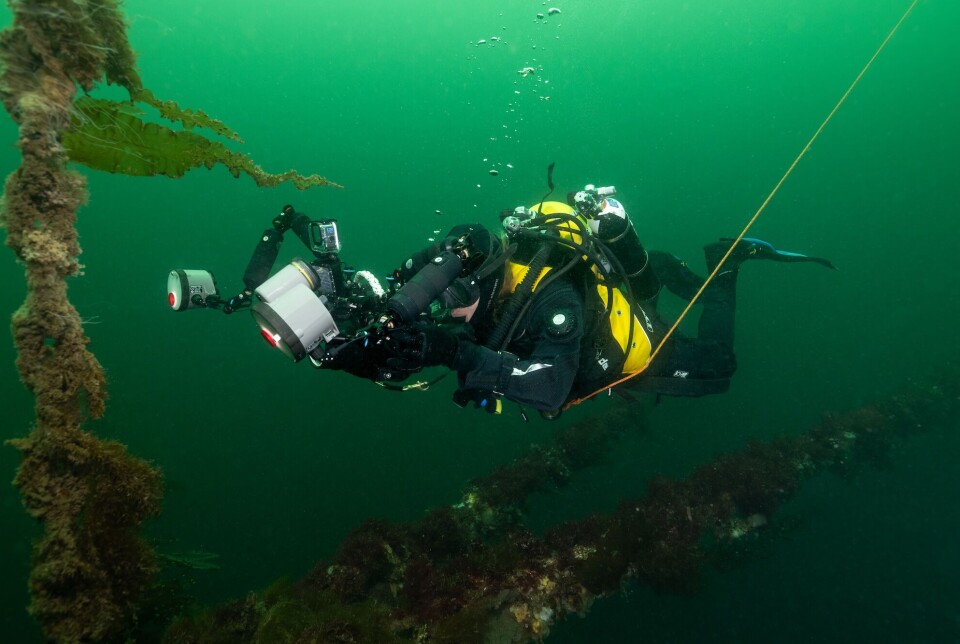 A diver from Tritonia Scientific filming at the fish farm.