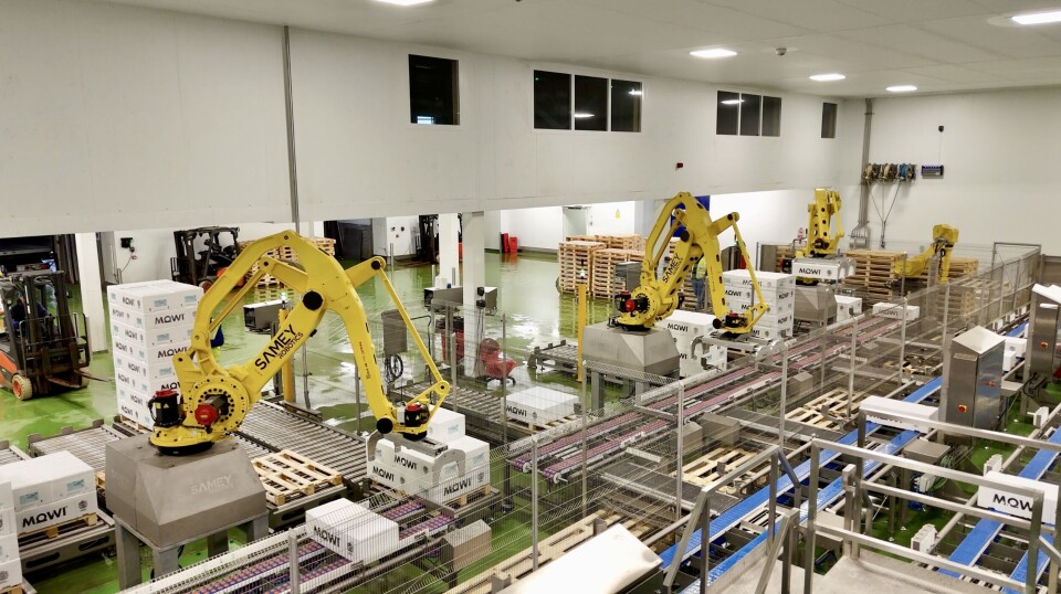 Samey robots at Mowi Scotland's primary processing facility at Blar Mhor, Fort William.