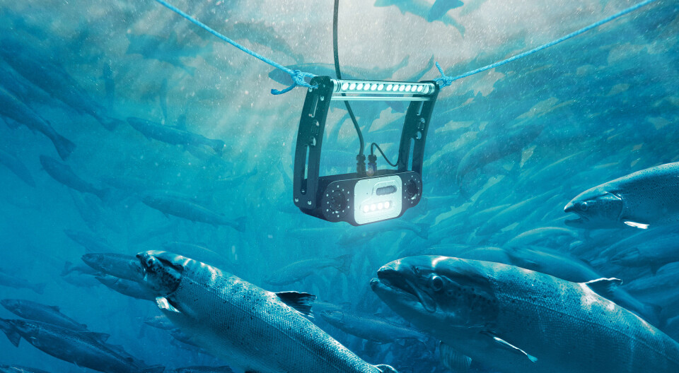 The next-gen Falcon has added near real-time insights into sea lice prevalence and wounds in fish populations to its predecessor's biomass monitoring capabilities.