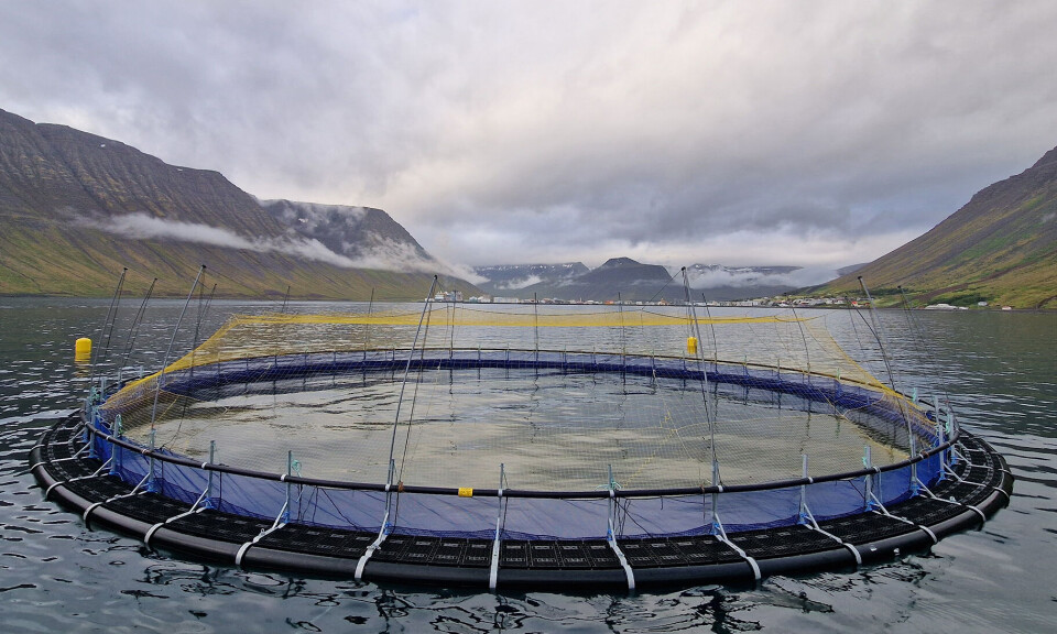 One of the Gael Force Ultra pens on site in Iceland.