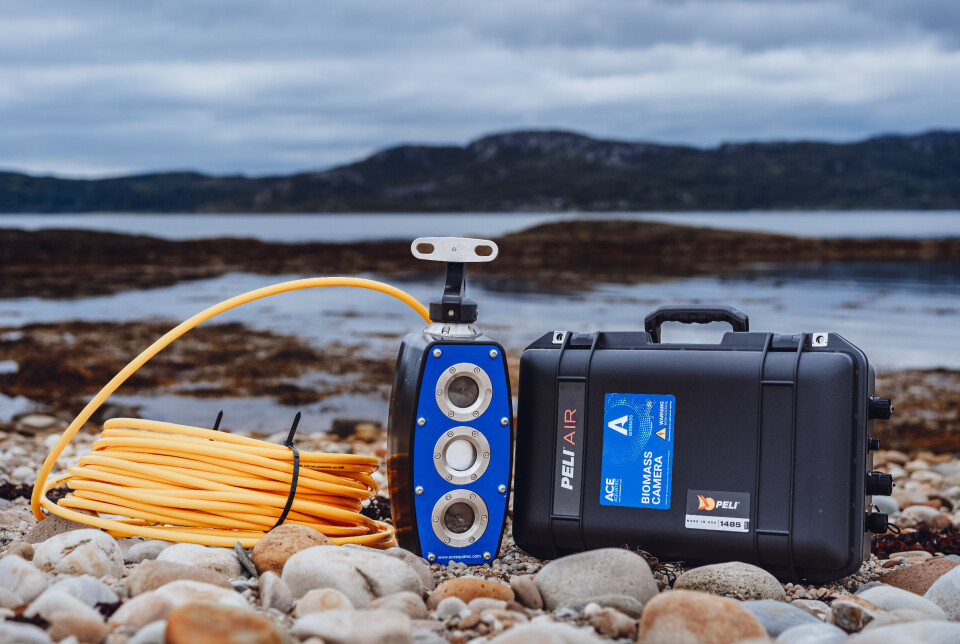 Ace Aquatec's A-BIOMASS camera can be used for different species and different purposes, depending on which AI modules a customer chooses.