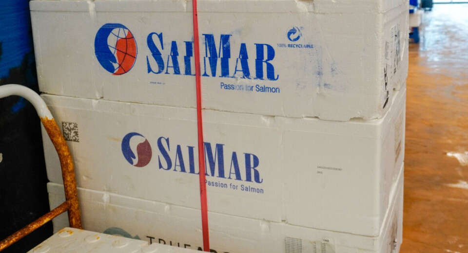 Salmon giant SalMar raises another NOK 500m through green bond