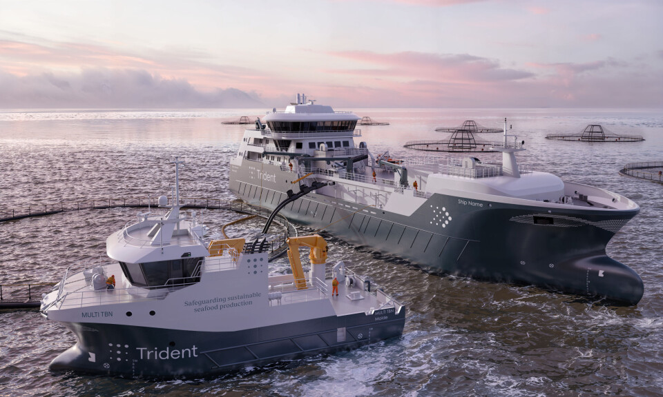 An illustration of the new hybrid-power vessels: a 4000 m³ capacity wellboat and a 27-metre service boat.