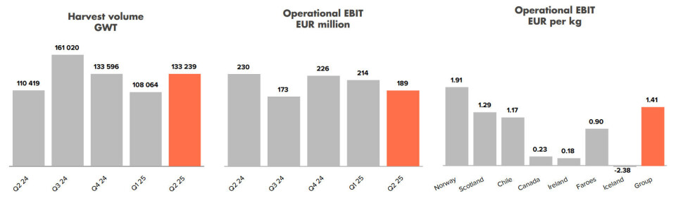 Mowi harvested a record Q2 volume this year, although it didn't make as much profit on its fish as in the same period in 2024.